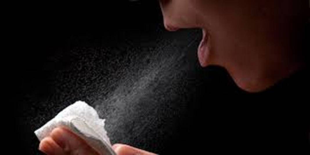 İnfluenza endişesi olanlar dikkat! İşte kendini gösteren ilk belirtiler 6